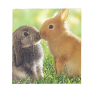 Bloc-note Bunny Kiss