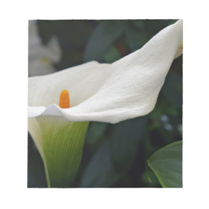Bloc-note Calla Lily.JPG