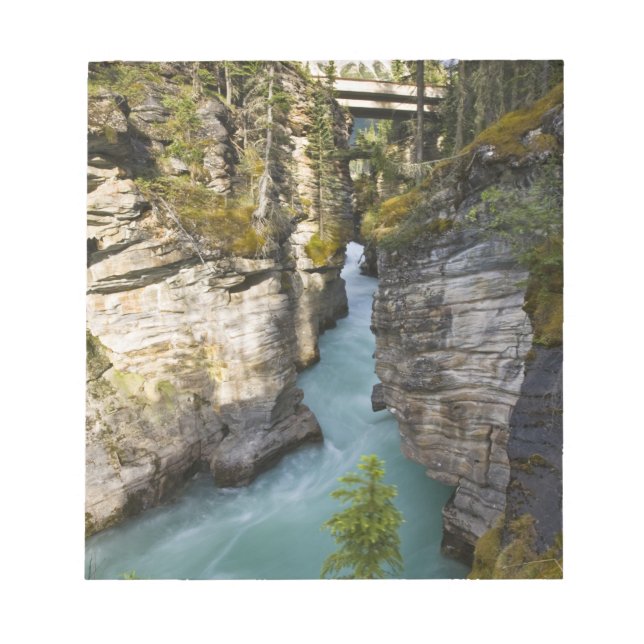 Bloc-note Canada, Alberta, parc national de Jasper, Athabasc (Devant)