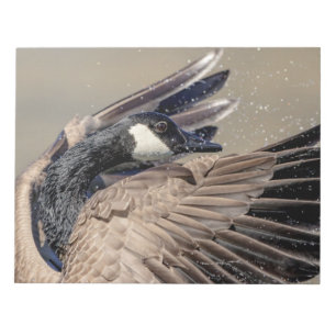 Bloc-note Canada Goose
