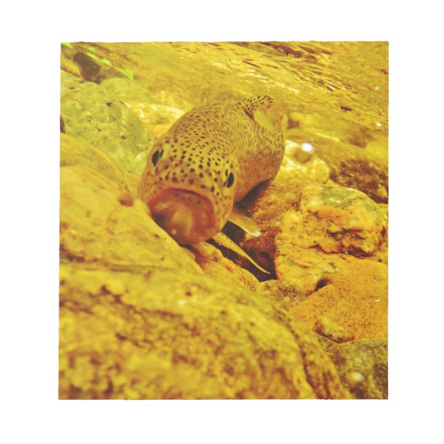 Bloc-note Canal en flux (Devant)