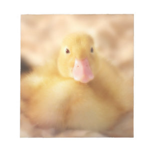 Bloc-note Canard Jaune Fuzzy Bébé de Pâques Canard