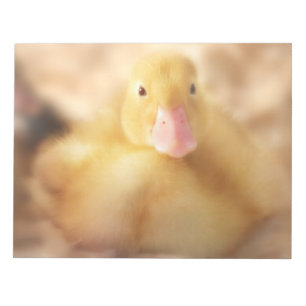 Bloc-note Canard Jaune Fuzzy Bébé de Pâques Canard
