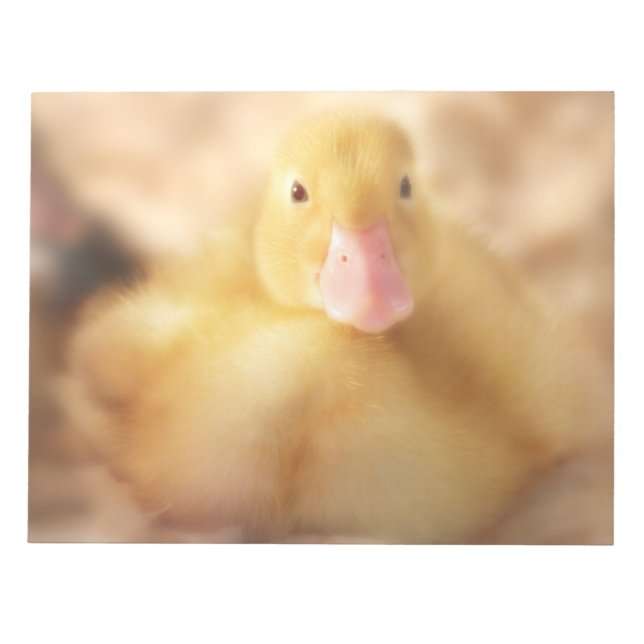 Bloc-note Canard Jaune Fuzzy Bébé de Pâques Canard (Devant)