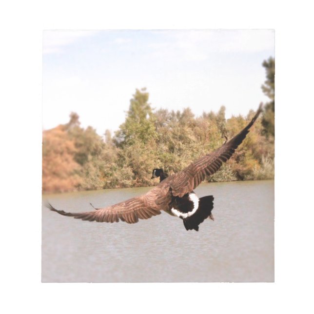 Bloc-note canard volant au-dessus de l'eau photographie (Devant)