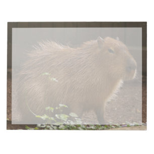 Bloc-note Capybara