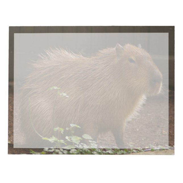 Bloc-note Capybara (Devant)