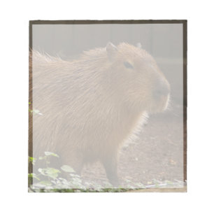 Bloc-note Capybara