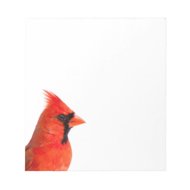 Bloc-note Cardinal Bird (Devant)