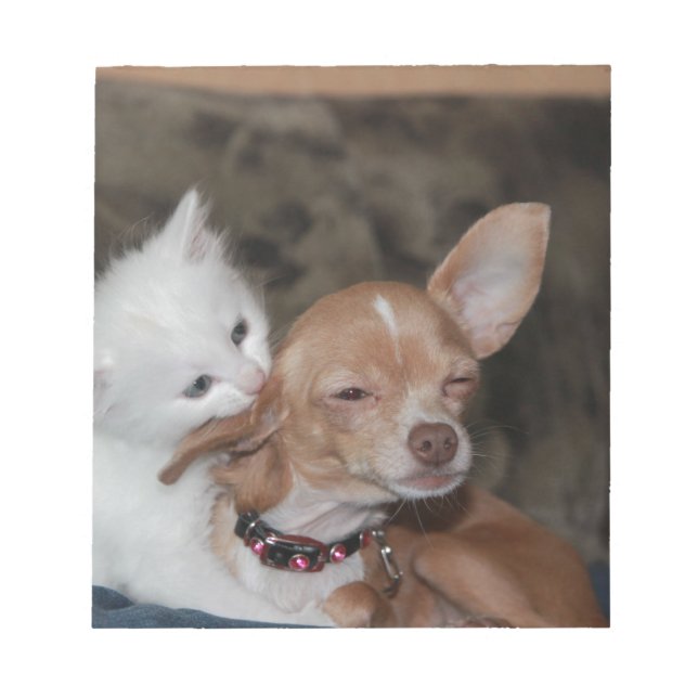 Bloc-note Cat licking Dog (Devant)