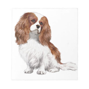 Bloc-note Cavalier King Charles Spaniel (Blenheim A)