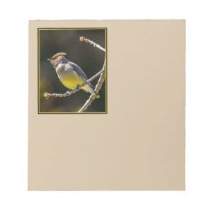 Bloc-note Cèdre cire Songbird Photo originale Oiseau sauvage