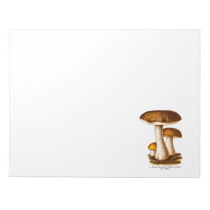 Bloc-note Champignon vintage des années 1800 Champignon Brow