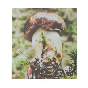 Bloc-note Champignons Porcini en Forêt Suédoise