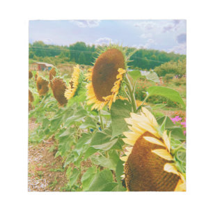 Bloc-note Champs de tournesol