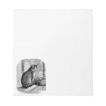 Chat assis par fenêtre avec livre