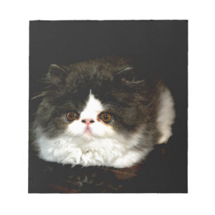 Bloc-note Chat chaton blanc noir mignon