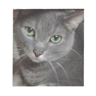 Bloc-note Chat gris bleu russe