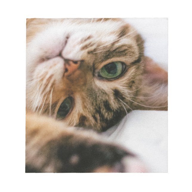 Bloc-note chat ludique (Devant)