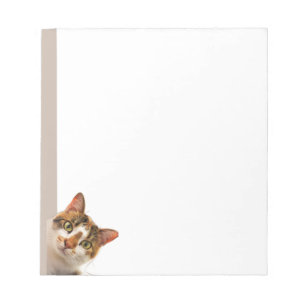 Bloc-note Chat mignon de kitten qui vous regarde Animal mign