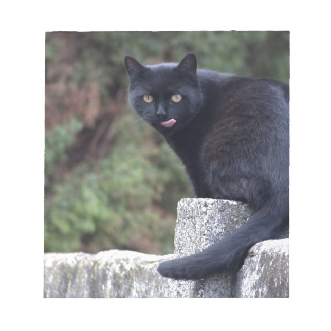 Bloc-note Chat noir (Devant)
