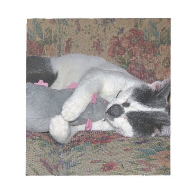 Bloc-note Chaton couchant (Devant)