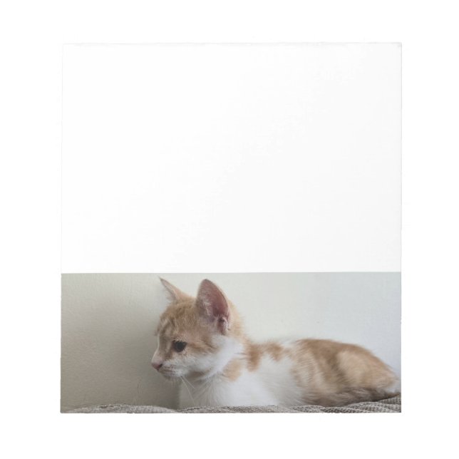 Bloc-note Chaton roux et blanc (Devant)