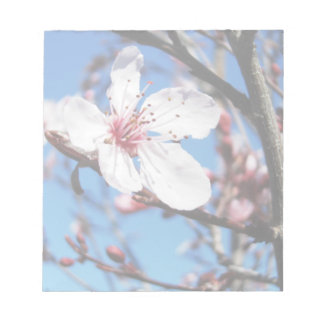 Bloc-note Cherry Blossom 2