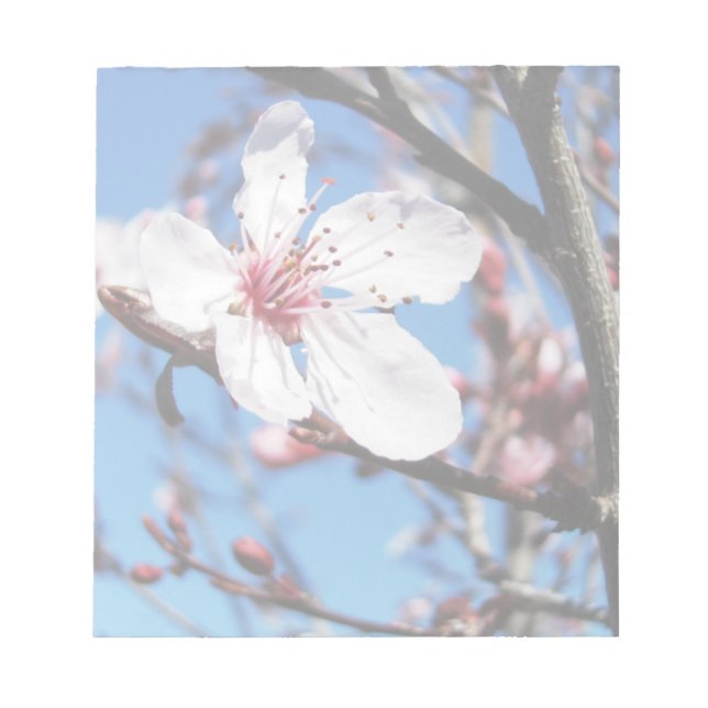 Bloc-note Cherry Blossom 2 (Devant)