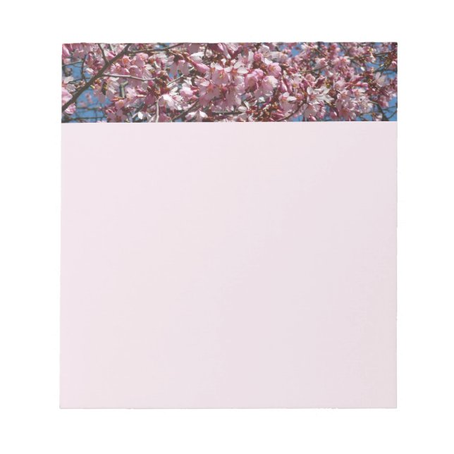 Bloc-note Cherry Blossoms et Blue Sky Spring Floral (Devant)