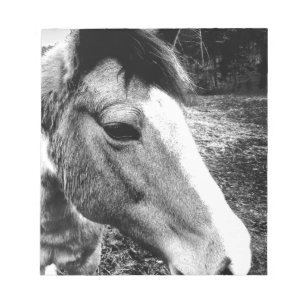 Bloc-note Cheval