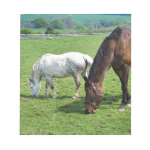 Bloc-note Chevaux