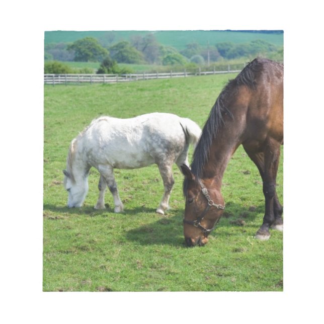 Bloc-note Chevaux (Devant)
