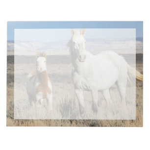 Bloc-note Chevaux sauvages chez eux dans le bassin de Sandwa