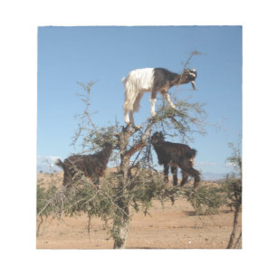 Bloc-note Chèvres drôles dans un arbre