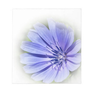 Bloc-note chicorée bleu pourpre