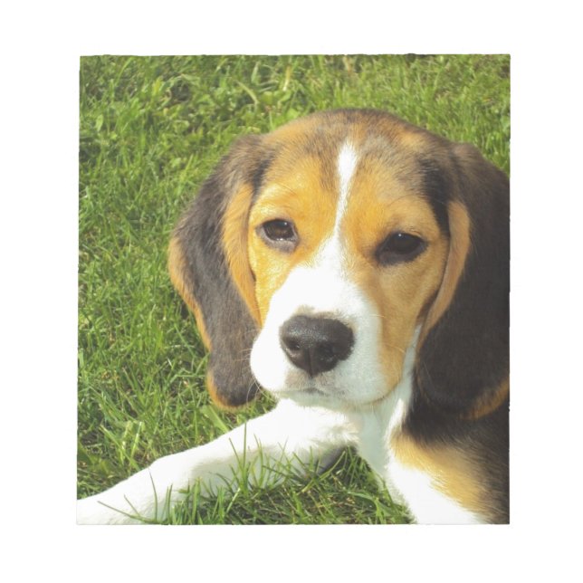 Bloc-note Chien Beagle Animaux de Compagnie Paix Amour (Devant)
