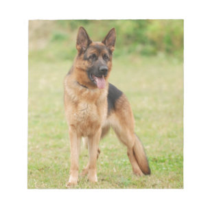 Bloc-note Chien berger allemand