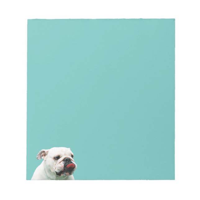 Bloc-note Chien blanc mignon Bulldog (Devant)