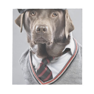 Bloc-note Chien dans le chandail et le casquette