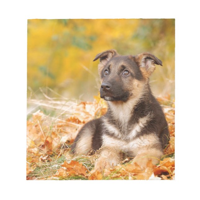 Bloc-note Chien d'automne allemand chiot (Devant)