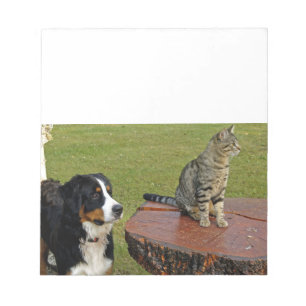 Bloc-note chien de montagne bernois avec chat