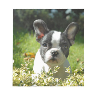 Bloc-note Chien noir et blanc