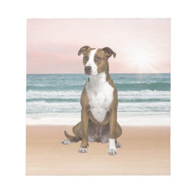 Bloc-note Chien Pitbull mignon assis sur la plage avec couch (Devant)