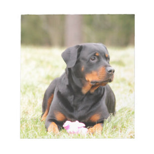 Bloc-note Chien Rottweiler