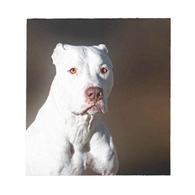 Bloc-note Chien Secouru blanc américain Pitbull Terrier (Devant)