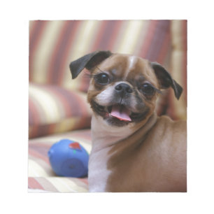 Bloc-note Chien super mignon avec son ballon préféré