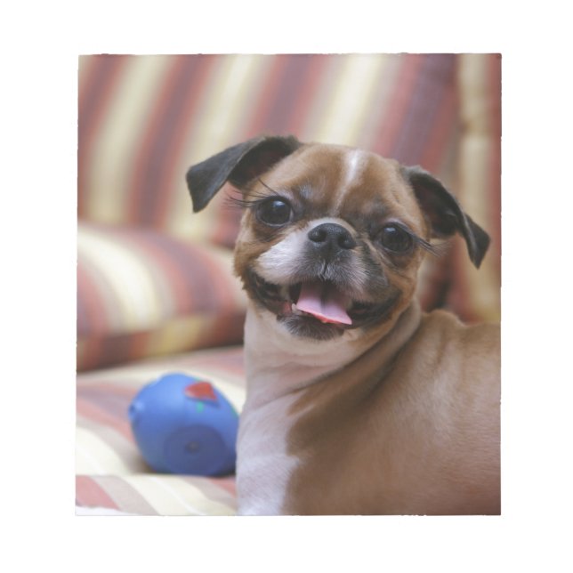 Bloc-note Chien super mignon avec son ballon préféré (Devant)