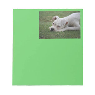 Bloc-note Chiot de boîte à sucre