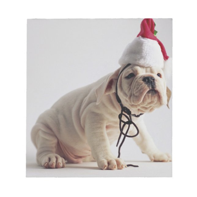 Bloc-note Chiot de Bulldog portant le chapeau du Père Noël (Devant)